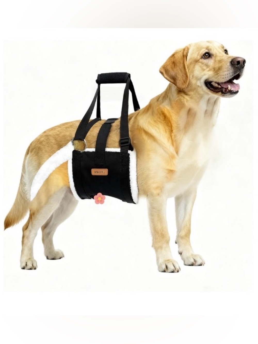 New Dog Lift Harness Extra Large - Adjustable Rear Leg Support Padding No Slip